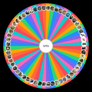 Spin the Wheel: CAGE MATCH vs ANIMAIS