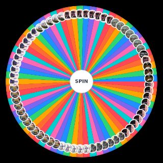 Spin the Wheel: Hippo Campus Discography