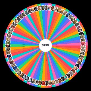 Strange Hill High Wheel