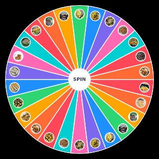 Random Kuih Raya Wheel