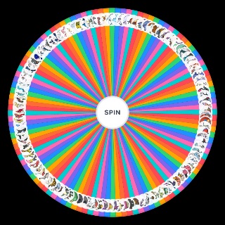 Spin the Wheel: Gen 7 Shiny Pokemon