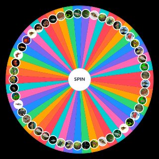 Random Aquarium Wheel