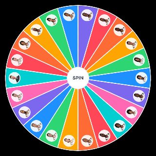 San Antonio Spurs 2025 2026 Roster Random Generator