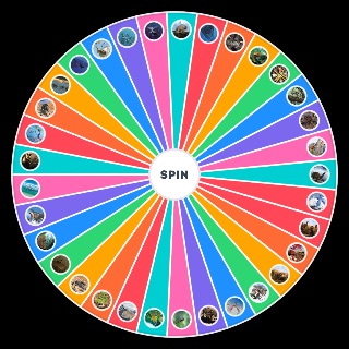 The future is wild animals Wheel