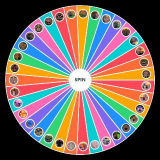 Random A Special Universe 2.0 Picker