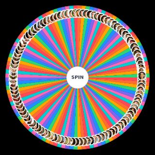 Survivor 41 46 Wheel