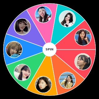Spin the Wheel: Would you fight this TWICE member?