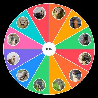 Choose a Random Otter Species