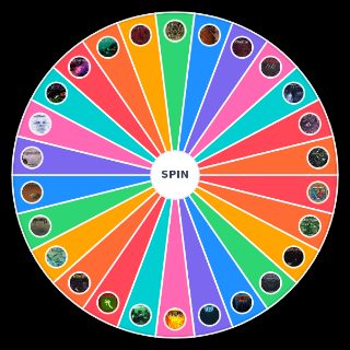 Random Wite Wolf Publishing Wheel
