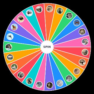 Animal's 動物最強ティア Random Picker