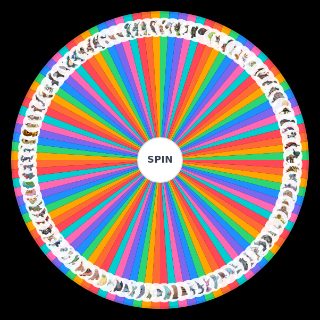 All Ground Type Pokémon Wheel
