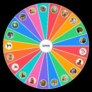 Pick a Random Dog Breeds