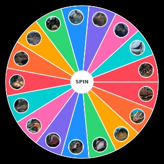 Random Prior Extinction Archipelago 6 28 Wheel