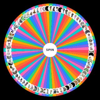 Random SallyFace Wheel