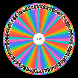 Muhteşem Yüzyıl Wheel