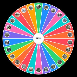 Random Call of Duty Black Ops MP maps Wheel