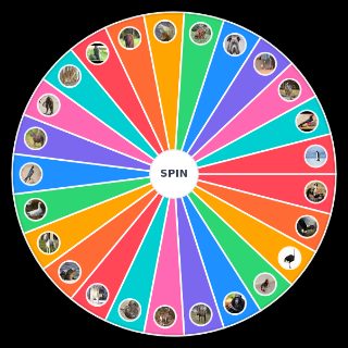 Spin the Wheel: Animales a los que vencería con un cuchillo de caza