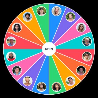 Spin the Wheel: Cast of Big Brother US 23