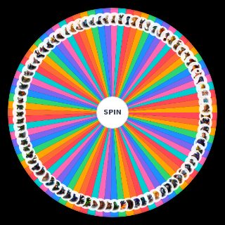 Spin the Wheel: Age of Magic Heroes