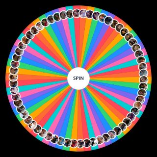 Cobra Kai Scaling (KK CK) Random Generator