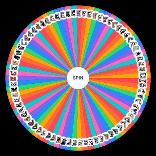 Spin the Wheel: R6 operator (Yr 10 S1)