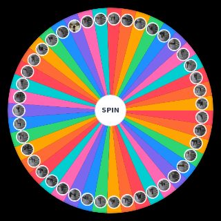 Random Modern Warfare 2 ALL GUNS Wheel