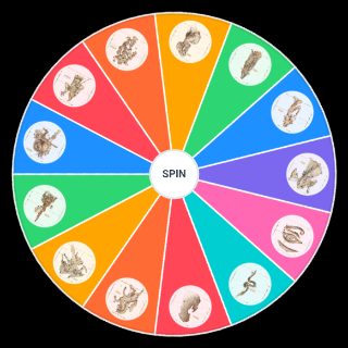Choose a Random Elder Scrolls 4 Oblivion Birthsigns