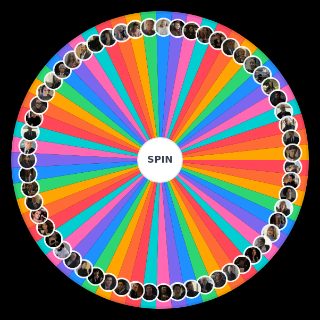 Spin the Wheel: Succession Characters
