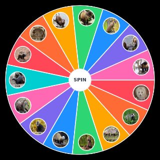 Pick a Random Best Mustelids
