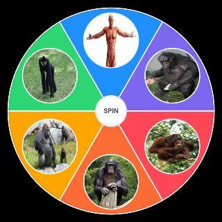 Ape Wheel