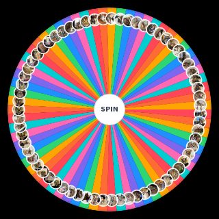 Random Floppa Friday :) Wheel