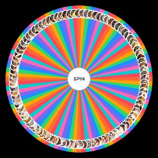 Dessert Wheel