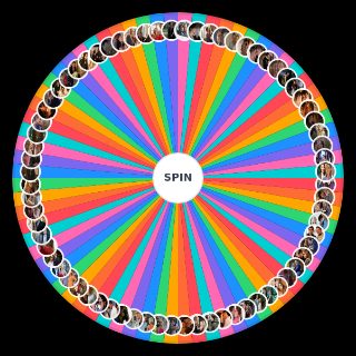 Spin the Wheel: Hollyoaks Couples