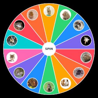 Rodents Random Generator