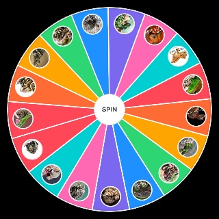 Random Common Pet Reptiles Wheel