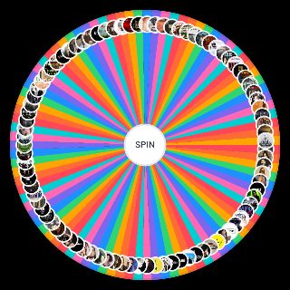Random Türkçe Rock (91 Grup + Sanatçı) Wheel