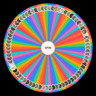 Spin the Wheel: Military Camouflage