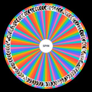 Spin the Wheel: TCC