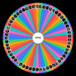 Spin the Wheel: Elden Ring Characters