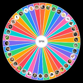 Pet Reptiles and Amphibians Wheel