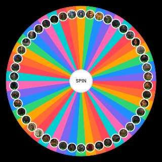 Random Elden Ring Friendly NPCs Picker