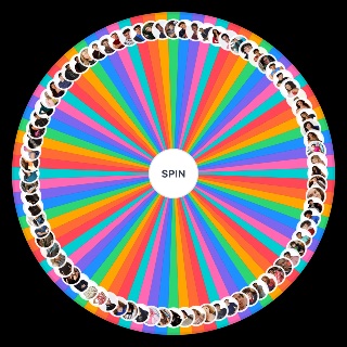 Random Degrassi TNG and NC main characters Wheel