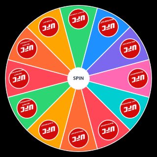 Random UFC DIVISIONS Wheel