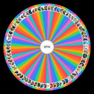 Spin the Wheel: Animal Kingdom