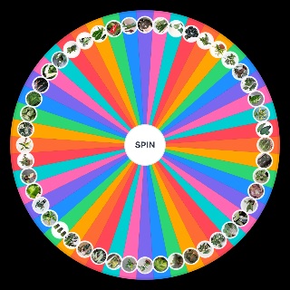 Random House Plant Wheel