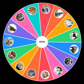Random Cute Animals Wheel