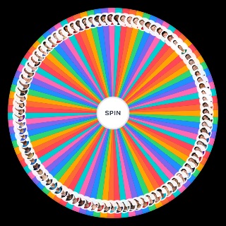 Spin the Wheel: NFL quarterbacks 2025/26 season