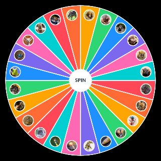 Choose a Random Cute animals