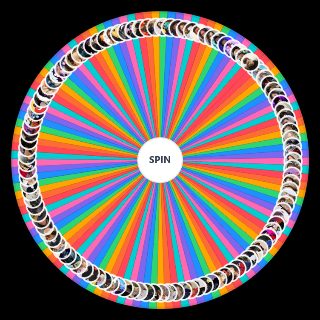Spin the Wheel: content creators (spanish/english)