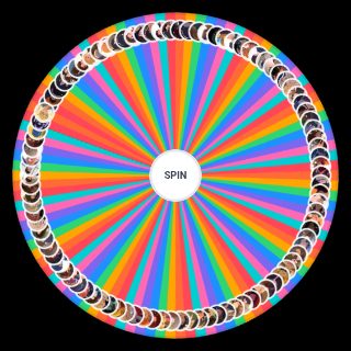 msa male mcs Wheel